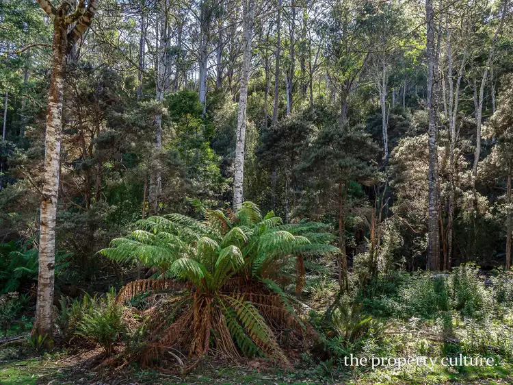 Fifth view of Homely land listing, 6453 Huon Highway, Dover TAS 7117