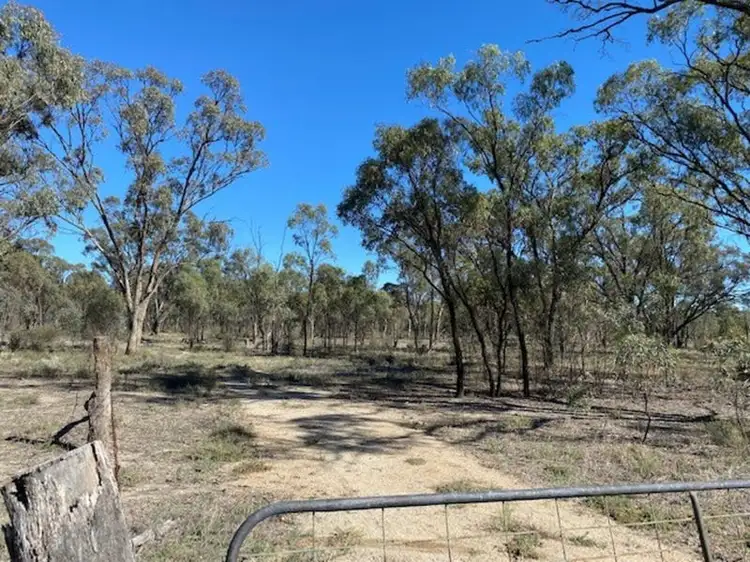 Main view of Homely rural property listing, 373 Greenhills Lane, Barham NSW 2732