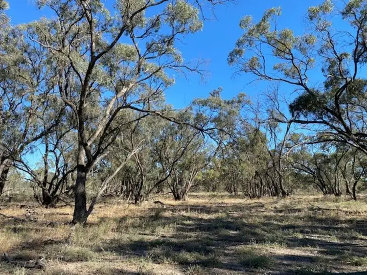 Fourth view of Homely rural property listing, 373 Greenhills Lane, Barham NSW 2732