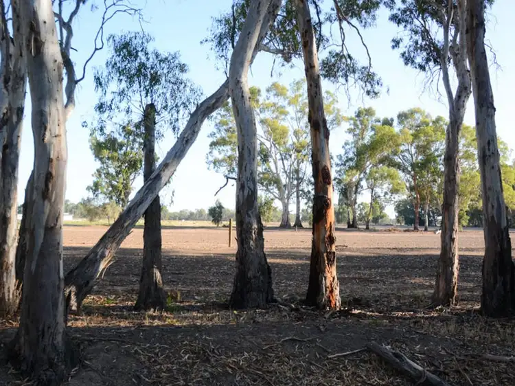 Third view of Homely land listing, Riverview Drive, Barham NSW 2732