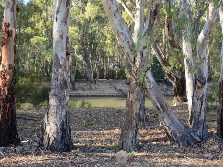 Sixth view of Homely land listing, Riverview Drive, Barham NSW 2732