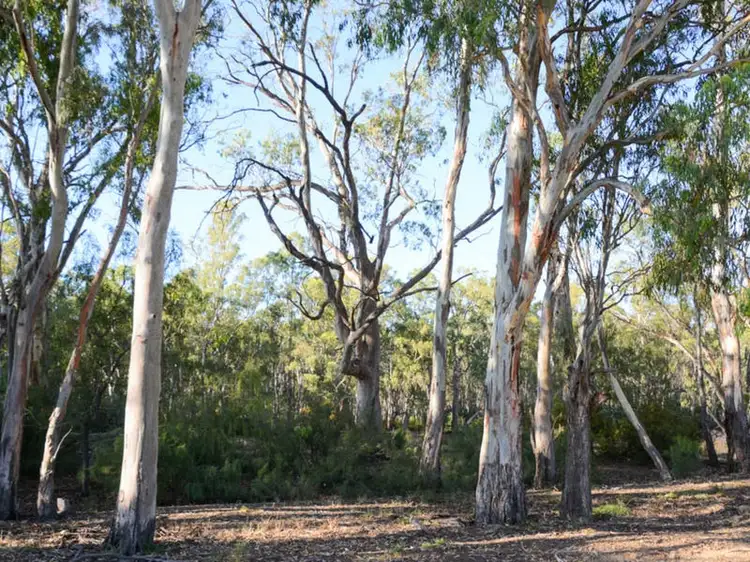 Seventh view of Homely land listing, Riverview Drive, Barham NSW 2732