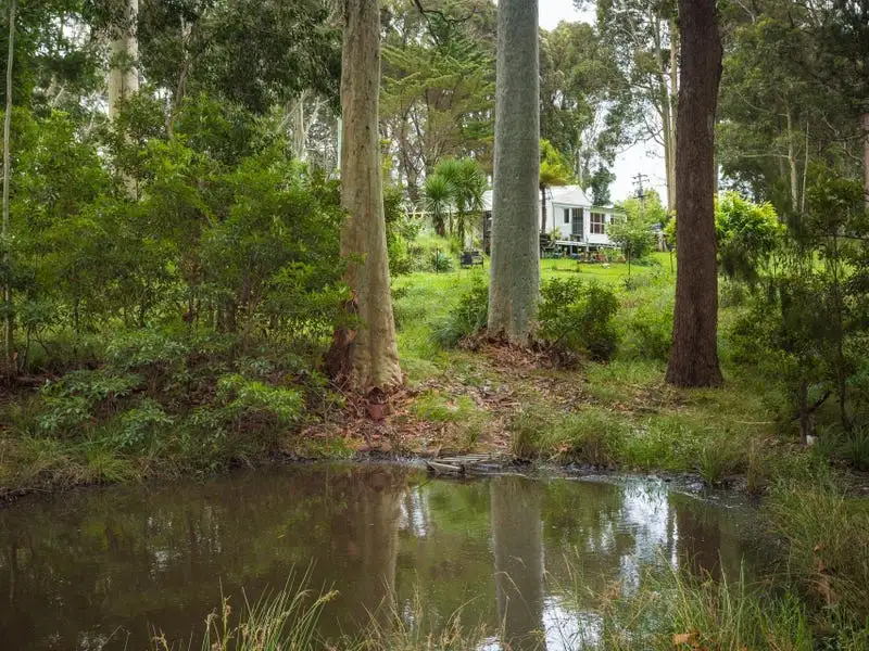 Main view of Homely house listing, 67 Nutleys Creek Road, Bermagui NSW 2546