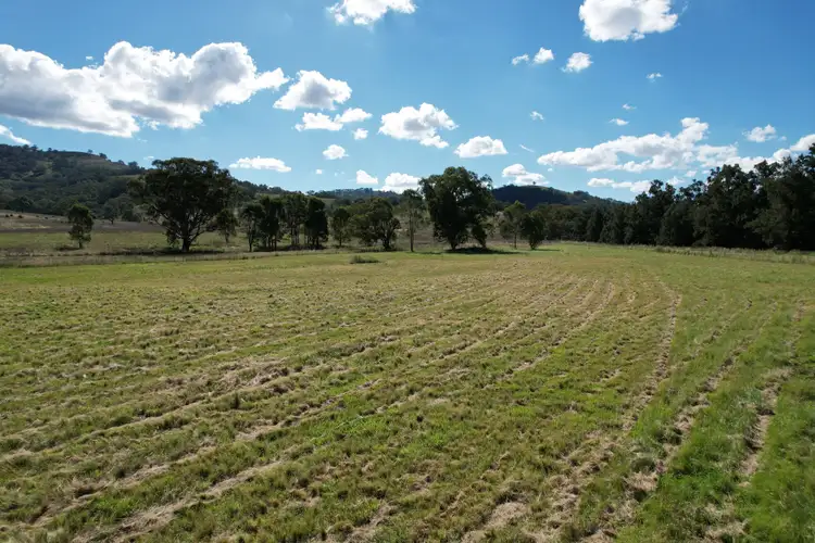 Fifth view of Homely rural property listing, 2030 PEMBROKE ROAD, Cassilis NSW 2329