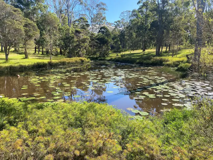 Third view of Homely rural property listing, 46 Cedar Road, Killabakh NSW 2429