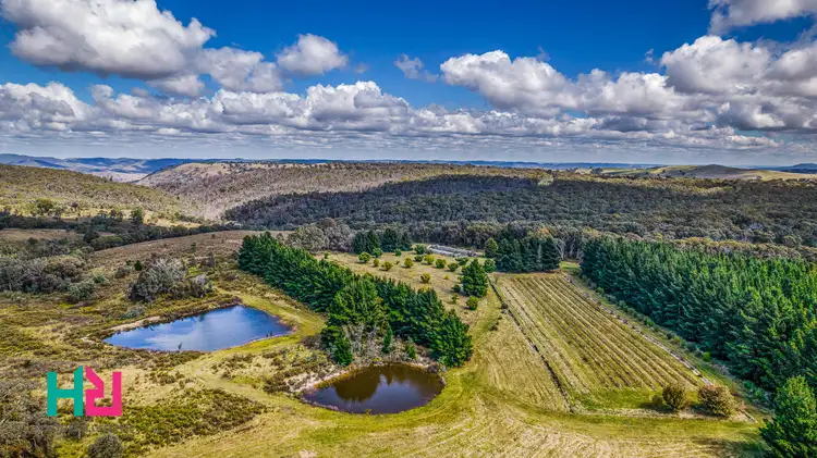 Fifth view of Homely rural property listing, 499 Razorback Road, Running Stream NSW 2850