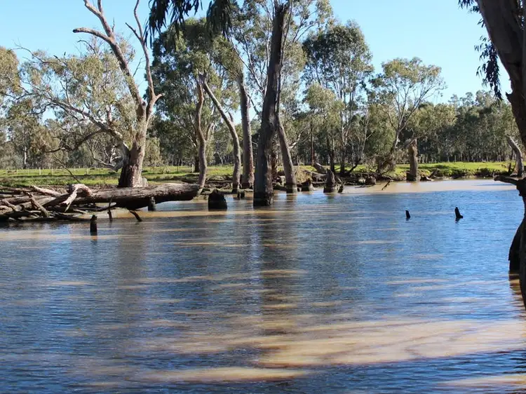 731 Gonn Road, Barham NSW 2732