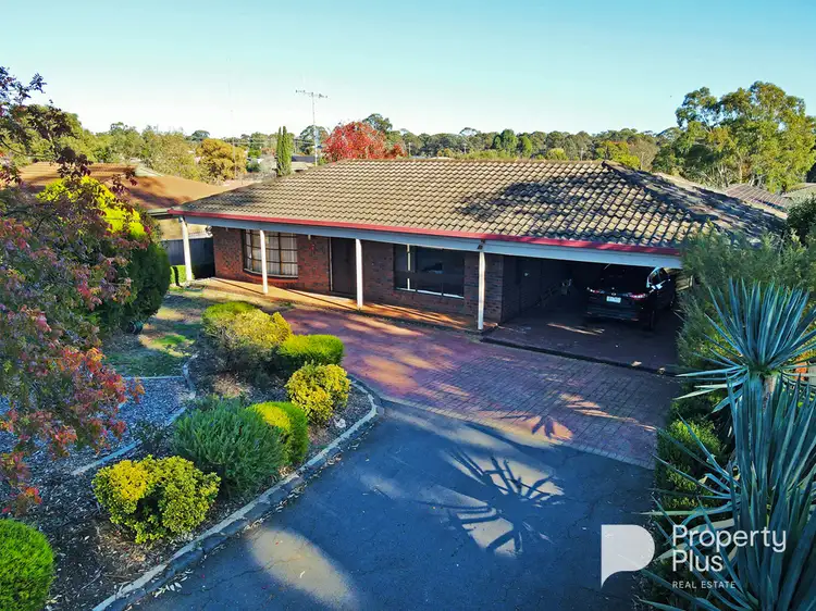 Main view of Homely house listing, 87 Harley Street, Strathdale VIC 3550