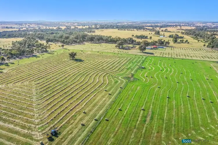 Second view of Homely rural property listing, 291 Killeens Lane, Heathcote VIC 3523