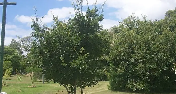 Fifth view of Homely rural property listing, 5 Andrew Street, Bundamba QLD 4304