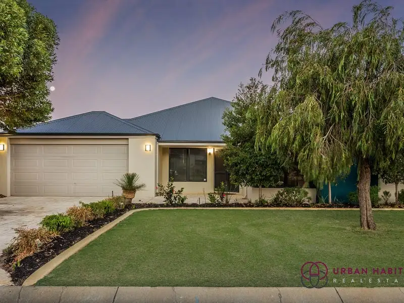 Main view of Homely house listing, 8 Bremer Way, Success WA 6164