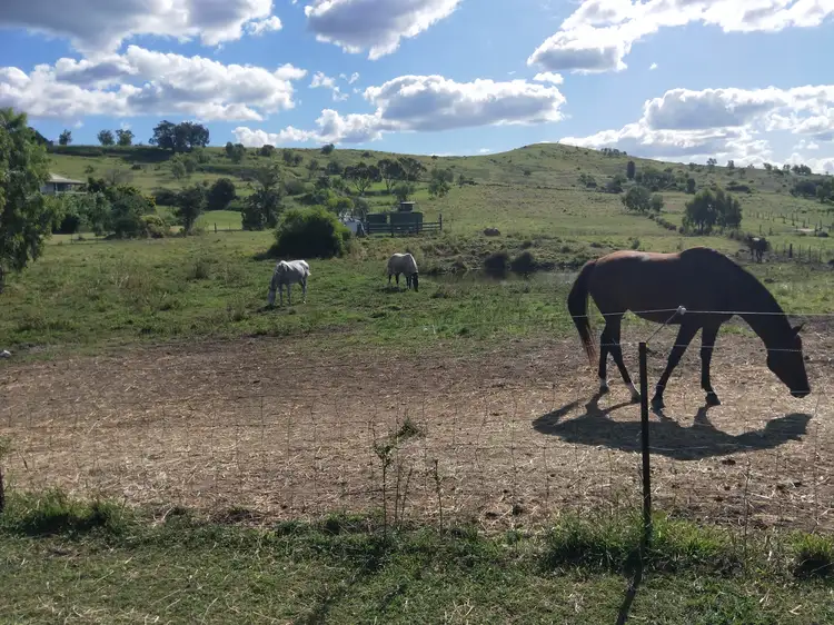 Third view of Homely land listing, 5 Narelle Court, Plainland QLD 4341