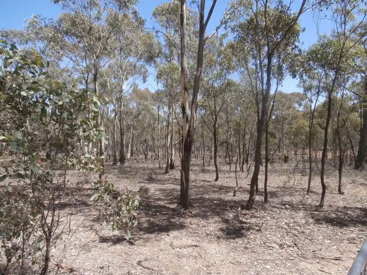 Second view of Homely rural property listing, LOT 11 O'Briens Drive, Moliagul VIC 3472