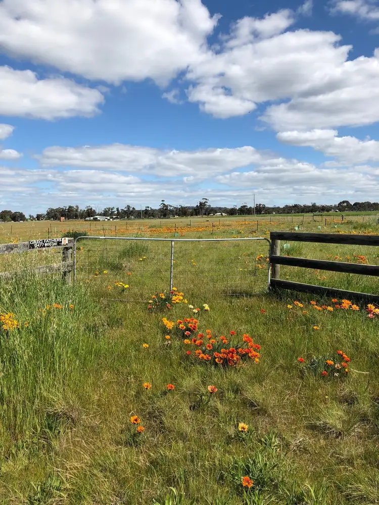 Third view of Homely rural property listing, 51 Scully Crescent, Korong Vale VIC 3520