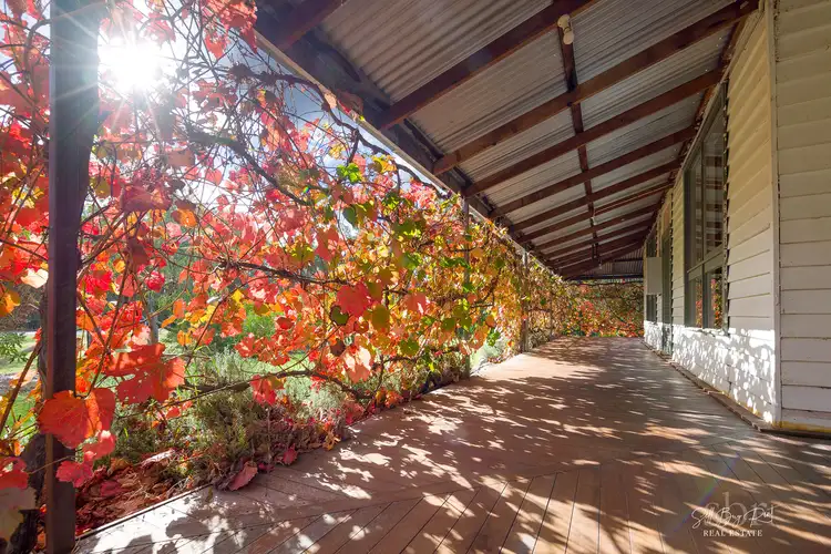 Third view of Homely house listing, 175 ANZAC ROAD, Springhurst VIC 3682