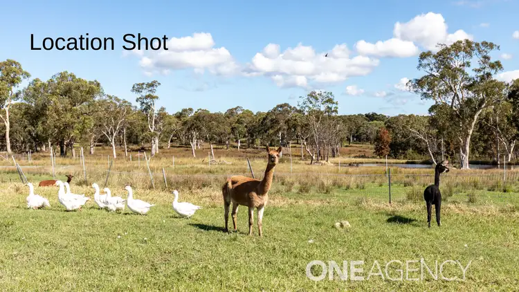 Third view of Homely rural property listing, 89 Btu Road, Nowra Hill NSW 2540