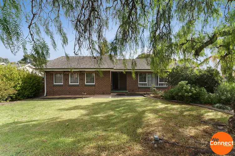 Main view of Homely house listing, 31 Felix Crescent, Morphett Vale SA 5162