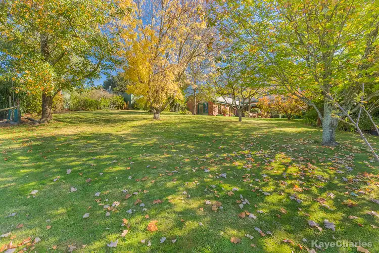 Main view of Homely rural property listing, 59 St Georges Road, Beaconsfield Upper VIC 3808