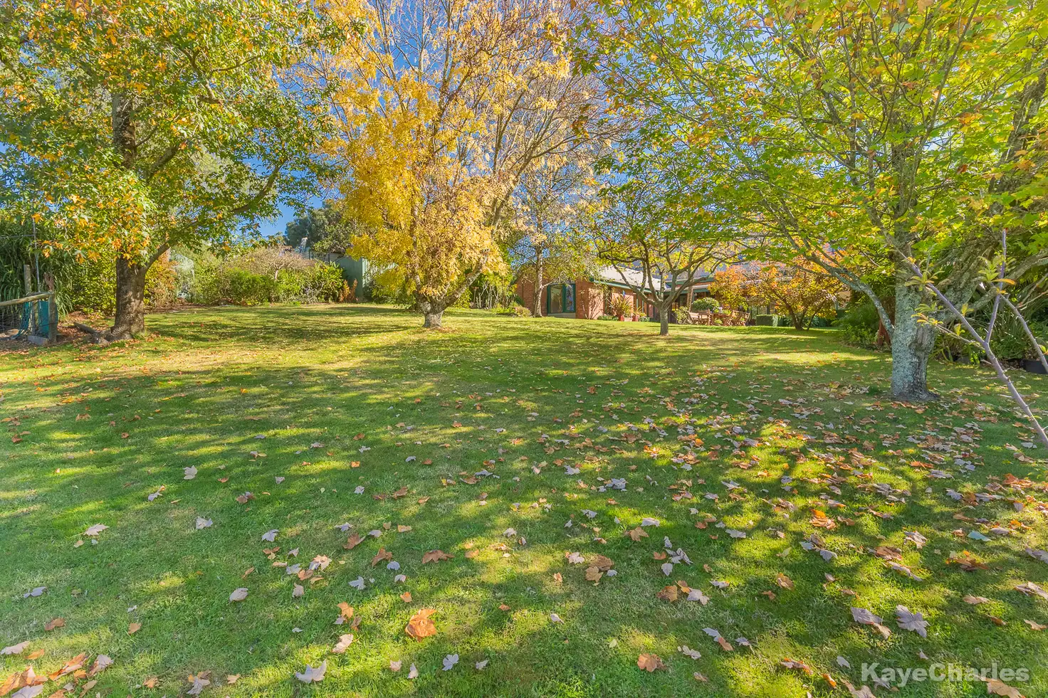 Main view of Homely rural property listing, 59 St Georges Road, Beaconsfield Upper VIC 3808