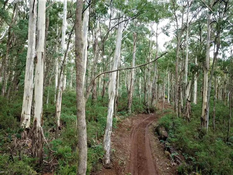 Fourth view of Homely land listing, 587 Bunstons Road, Tolmie VIC 3723