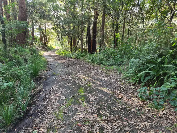 Second view of Homely rural property listing, 24 Denmark Street, Wombarra NSW 2515