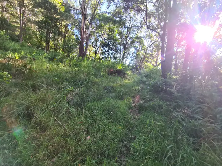 Fourth view of Homely rural property listing, 24 Denmark Street, Wombarra NSW 2515