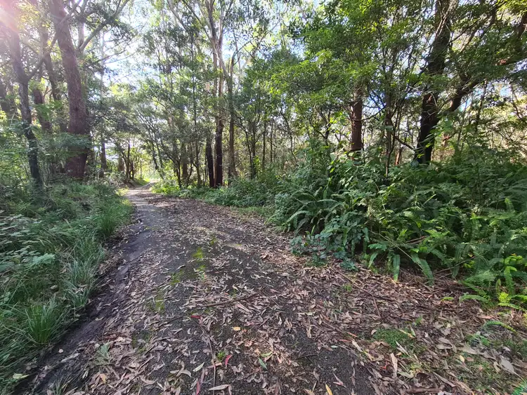 Fifth view of Homely rural property listing, 24 Denmark Street, Wombarra NSW 2515