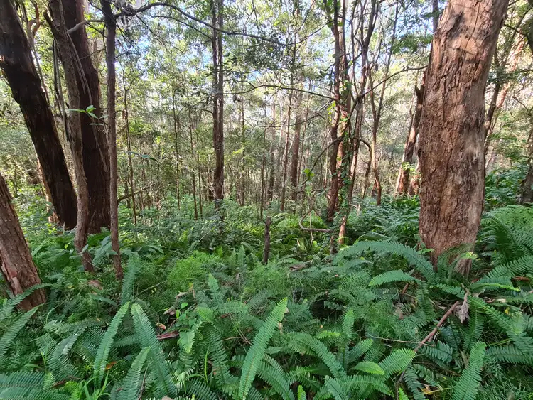 Sixth view of Homely rural property listing, 24 Denmark Street, Wombarra NSW 2515
