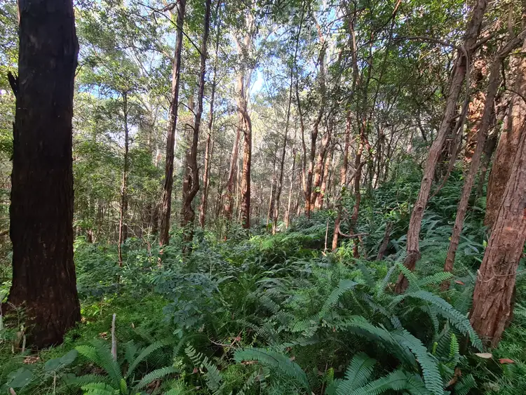 Seventh view of Homely rural property listing, 24 Denmark Street, Wombarra NSW 2515