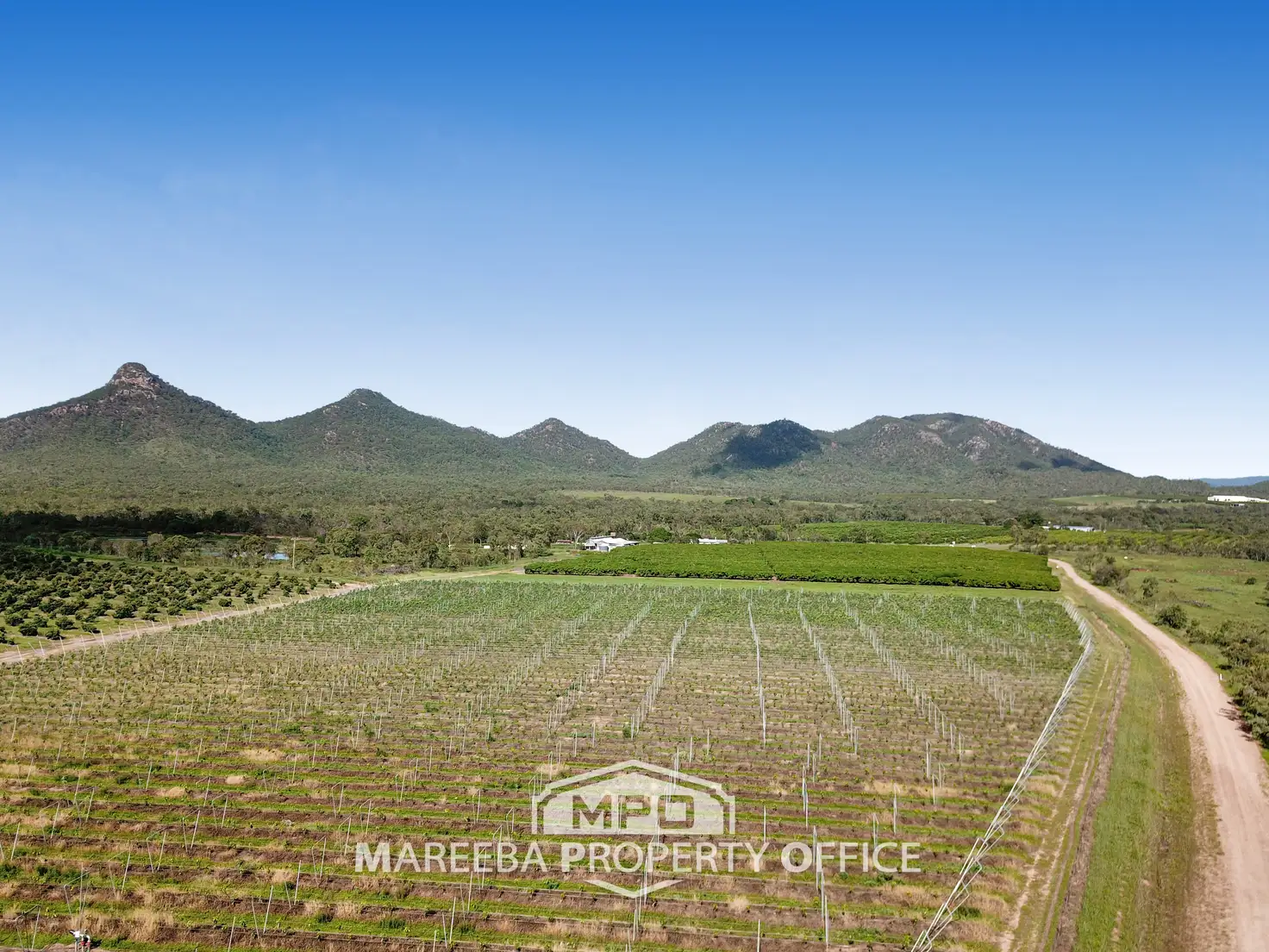 Main view of Homely rural property listing, 531 Boonmoo Road, Dimbulah QLD 4872