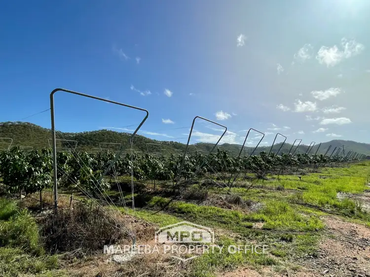 Second view of Homely rural property listing, 531 Boonmoo Road, Dimbulah QLD 4872