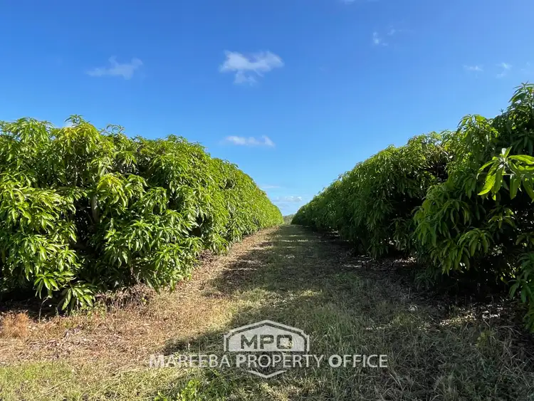 Sixth view of Homely rural property listing, 531 Boonmoo Road, Dimbulah QLD 4872