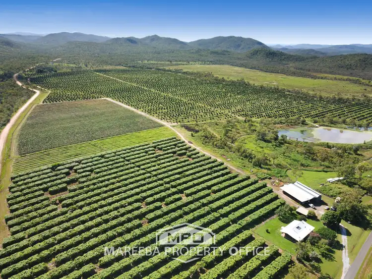 Seventh view of Homely rural property listing, 531 Boonmoo Road, Dimbulah QLD 4872