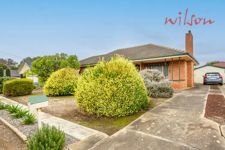 31 Raggatt Crescent, Mitchell Park SA 5043