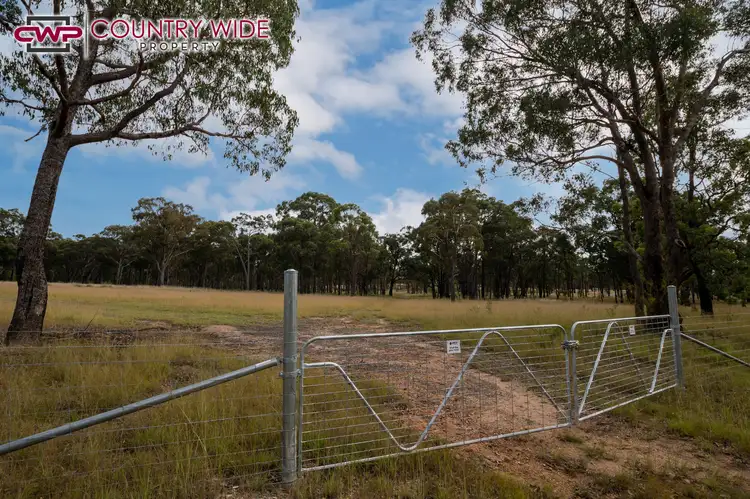 Third view of Homely rural property listing, 235 Marshall Way, Emmaville NSW 2371