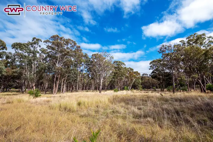 Sixth view of Homely rural property listing, 235 Marshall Way, Emmaville NSW 2371
