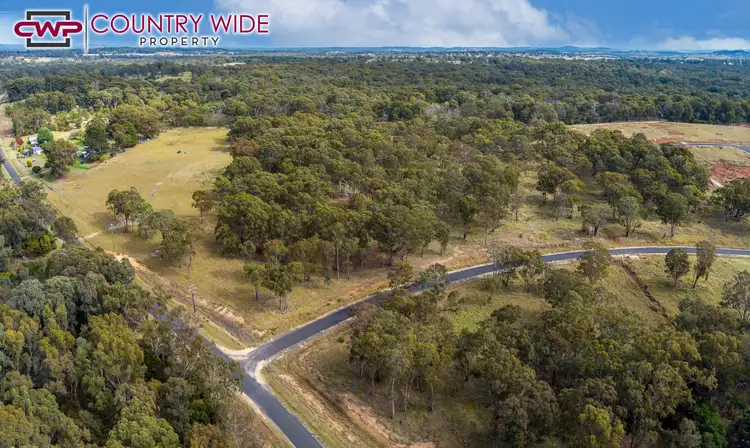 Seventh view of Homely rural property listing, 235 Marshall Way, Emmaville NSW 2371