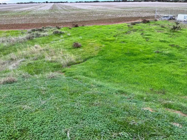 Fifth view of Homely land listing, 5 Bart Street, Nullawil VIC 3529