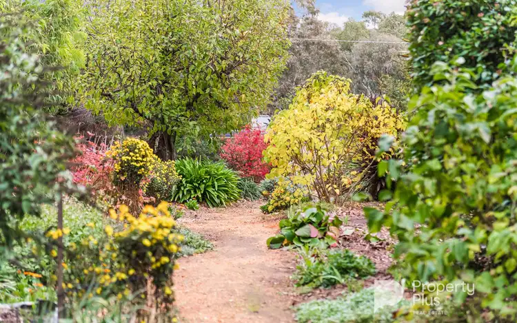 Second view of Homely house listing, 12 Coolstore Road, Harcourt VIC 3453