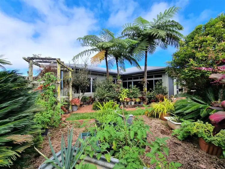 Main view of Homely house listing, 3 Austin Street, Atherton QLD 4883