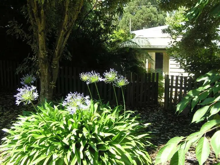 Seventh view of Homely house listing, 30 Von Mueller Drive, Rawson VIC 3825