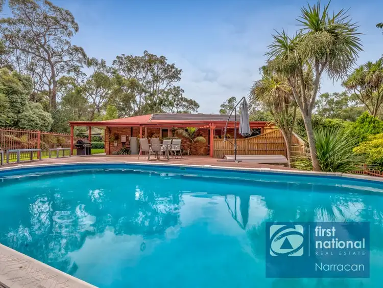 Second view of Homely rural property listing, 325 Becks Bridge Road, Tanjil South VIC 3825
