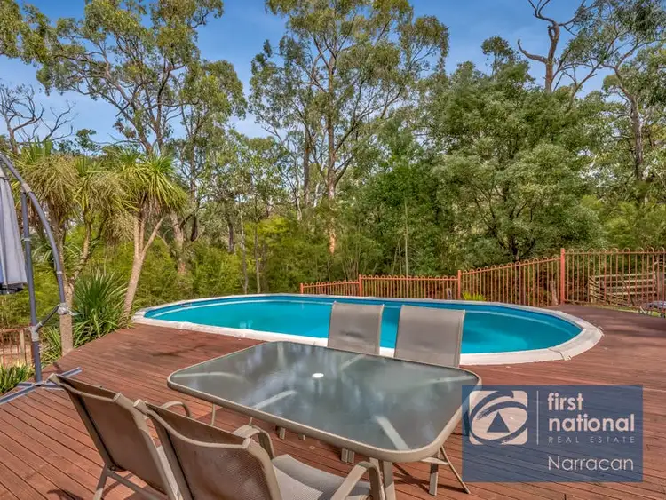 Seventh view of Homely rural property listing, 325 Becks Bridge Road, Tanjil South VIC 3825