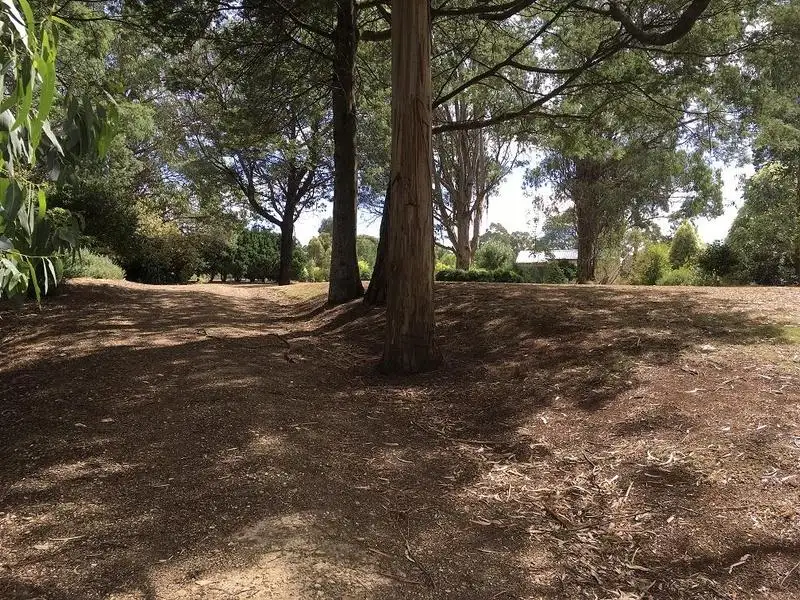Main view of Homely rural property listing, 54 Whitelaw Court, Rawson VIC 3825