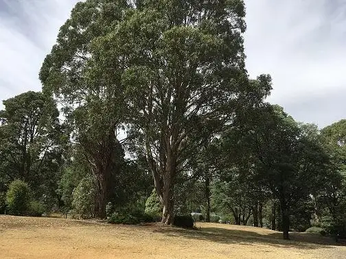 Third view of Homely rural property listing, 54 Whitelaw Court, Rawson VIC 3825