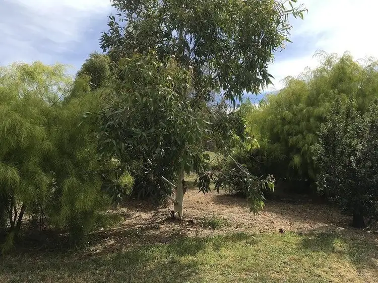 Sixth view of Homely rural property listing, 54 Whitelaw Court, Rawson VIC 3825