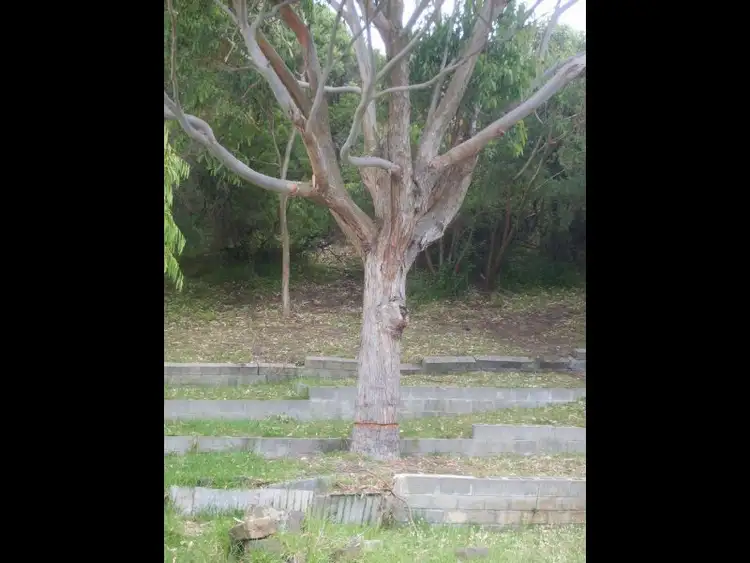 Second view of Homely house listing, 88 Beach Pde, Sandy Point VIC 3959