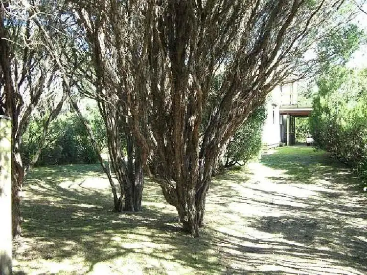 Third view of Homely house listing, 88 The Boulevarde, Sandy Point VIC 3959
