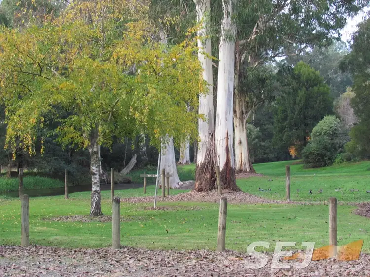 Fourth view of Homely house listing, 20 Bennett Street, Noojee VIC 3833