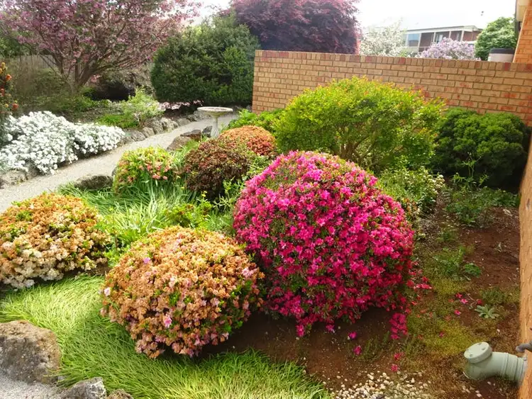 Sixth view of Homely house listing, 47 Cason Cresccent, Warragul VIC 3820